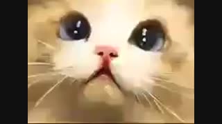 یک حقیقت تلخ :<