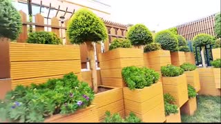 محوطه سازی حیاط مسکونی چوب پلاست
