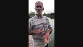 تاثیرگانودرما برروی غددچربی و واریس-جهت سفارش و مشاوره محصول با شماره 09396307638  تماس  حاصل نمائید-زینب علی نژاد مشاورسلامتی