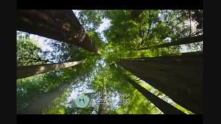 ترجمه تصویری سوره واقعه