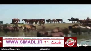 سریال ساخت ایران 2 قسمت 21 بیست و یکم