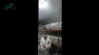 نظر آقای طباطبایی درباره محصول اسرار پرورش قارچ 1 و2