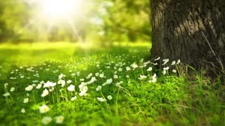 درمان درد با فرکانس و کلمه درمانی