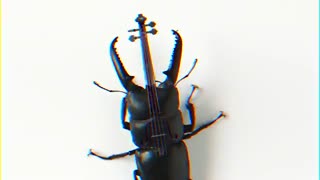 تبلیغ کتونی اکسو.عالیه آهنگش.قر چانیول...^_^