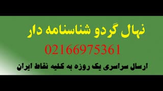 فروش گردو چندلر ژنوتیپ  / 09350798050