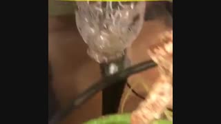 دستگاه روغن گیر