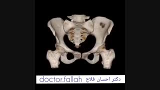 استخوان لگن