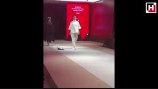 توضیح درست گربه دربارهٔ کت‌واک