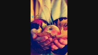 سلاام بچه هااا...من اومدم..کی یادشه ؟؟ ..ـتوضیحاات