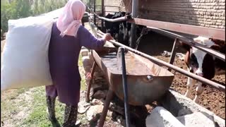 قهرمانان همت و تلاش - برداشت بیستم