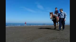 در آینده می خواهید چه کاره شوید؟!