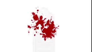 حسین فهمیده ها   نیکی نماnikinama