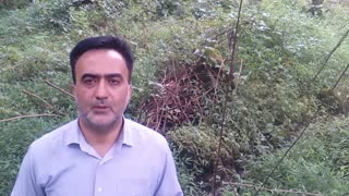 ارکسترطبیعت!؟