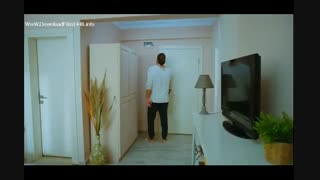 پرنده سحر خیز (توضیحات)