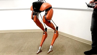 ربات 2 پای Cassie ساخته شده توسط Agility robotics