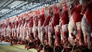 گوشت تنظیم بازاری که هیچوقت به دست مردم نرسید