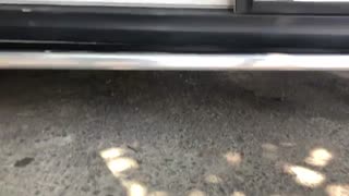 رکاب جک s5 - ماهان اسپرت