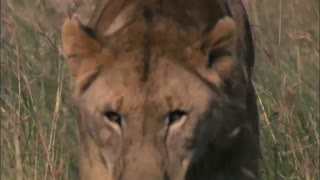 مستند Terra Documentary 2015 با دوبله اختصاصی