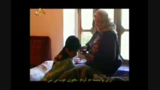 خواص دارویی گیاه بنفشه