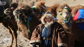 رکوردزنی با شتر، از مغولستان تا انگلستان