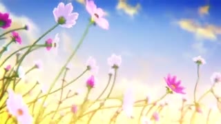 「LimS™」▸ EARTH DAY MEP