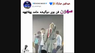 سهون فن بوی حامد پهلان