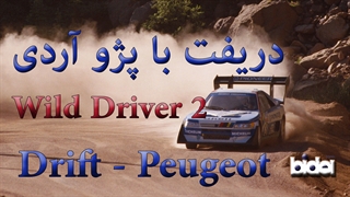 راننده وحشی 2 (Wild Driver 2007)