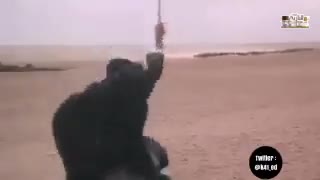 لورنس العرب(جاسوس بریطانیا)