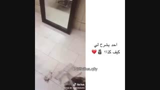 O-o ...