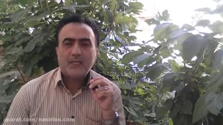 بالاخره به پرنده ها غذا بدیم؟!