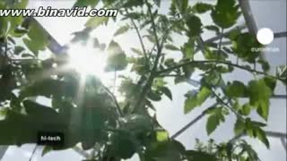 سیستم آکواپونیک