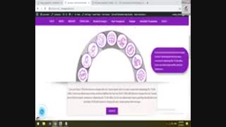 نحوه استفاده از طراحی سایت وردپرس/ بخش 23-شرکت نونگار