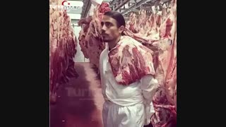 زندگی نامه نصرت کوگچه nusret gökçe