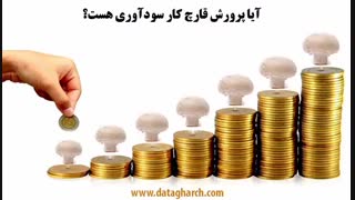 سود پرورش قارچ چقدر است؟