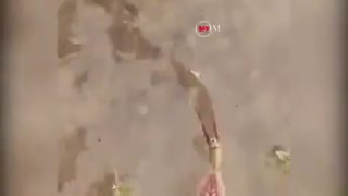 پیدا شدن کهن ترین موجود زنده هستی در سیستان