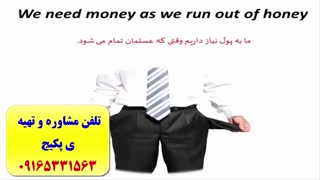 کدینگ کلمات آیلتس و تافل - کدینگ لغات انگلیسی کتاب 504
