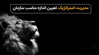 مدیریت استراتژیک تعیین اندازه مناسب سازمان