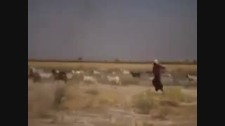 آنه تکرارغریبانه ی روزهایت چگونه گذشت (به سبک ایرانی خخخخ)