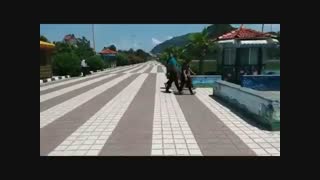 مکانی برای غرق شدن چشم‌ها در زیبایی