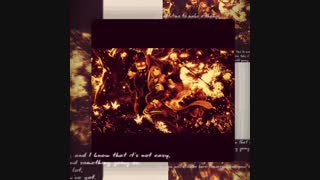 نظر سنجی !