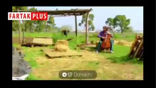 شاهکار این ویلنسل دیوانه را ببینید