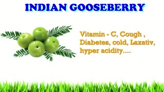 فروش عمده محصولات کشاورزی