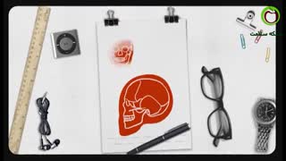 مغز من از چه قسمتهایی تشکیل شده؟!