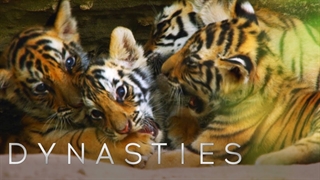 قسمت پنجم مستند Dynasties TV Series 2018 با دوبله فارسی